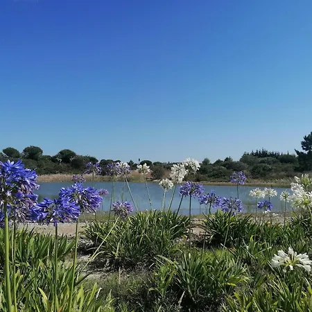 Lakeview Luxury With Pool Óbidos